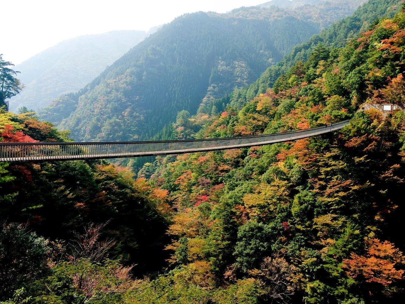 🌉 모미기 현수교 (모미기 쓰리바시) 이미지 4